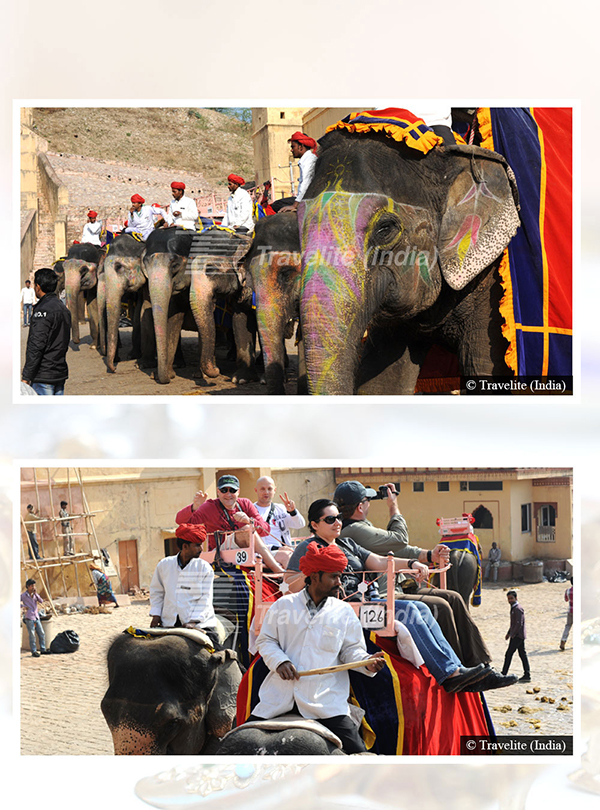 Amber fort, Elephant ride to ascend up to the majestic Amber Fort pic-01